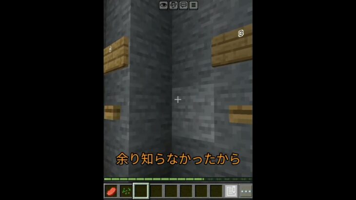 ｢ほ｣ら穴生活一週間チャレンジ     #マイクラ #まいんくらふと #マインクラフト #minecraft  #まいくら #ネタ