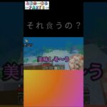 感染予防って言葉しらないのかな#マイクラ #マインクラフト #チャンネル登録お願いします #良かったらチャンネル登録してくれると嬉しい #minecraft #コメント高評価も嬉しいです #ゲーム