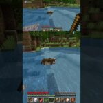 このワンコロには触れるなっ、、、　　#マイクラ #マインクラフト #minecraft #ちいかわ