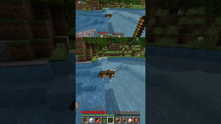 このワンコロには触れるなっ、、、　　#マイクラ #マインクラフト #minecraft #ちいかわ