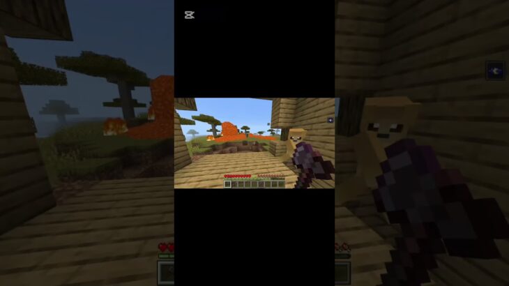 助けた後に待ち受ける結末とは…#マイクラ #マインクラフト #minecraft #感動する物語