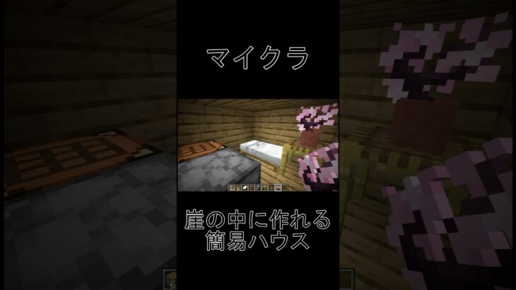 簡易ハウスの作り方:〜崖の中編〜#マイクラ #マインクラフト #minecraft #ゲーム #実況 #まいくら #マイクラ建築 #ゲーム実況