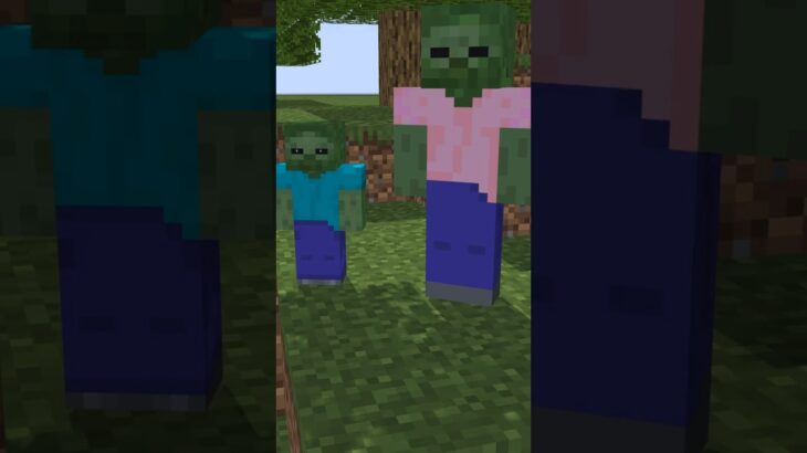 【マイクラ】ゾンビ家族の日常　 #minecraft 　#モンスター