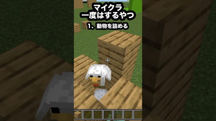マイクラ一度はするやつ #マイクラ #マインクラフト #minecraft #ゲーム