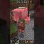 #minecraft 空中使用魔法杖，大開殺戒