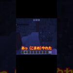 #minecraft #マインクラフト  親子でマイクラサバイバル　ゾンビを家に連れてきて５歳児がおこっちゃう！？