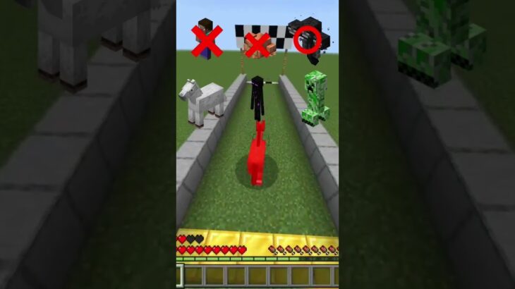 この通路を突破できるのは誰だ #minecraft #マイクラ