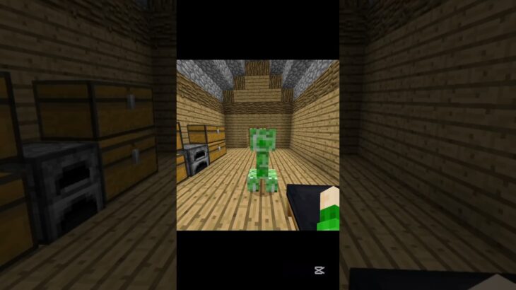 明日の私に幸あれ #マイクラ #minecraft #マインクラフト