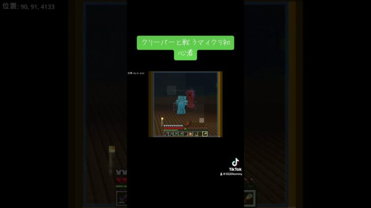 姉の戦闘 #マイクラ #面白集 #マインクラフト #minecraft #ゲーム実況 #おもしろ #マイクラ女子