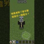 喚魔者除了攻擊還會另一種魔法？#minecraft #我的世界