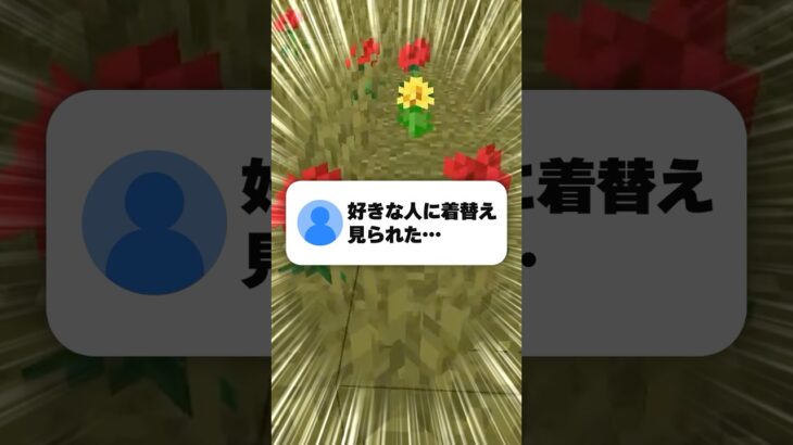 【最後ヤバい】好きな人に着替えを…⁉️ #マイクラ #minecraft