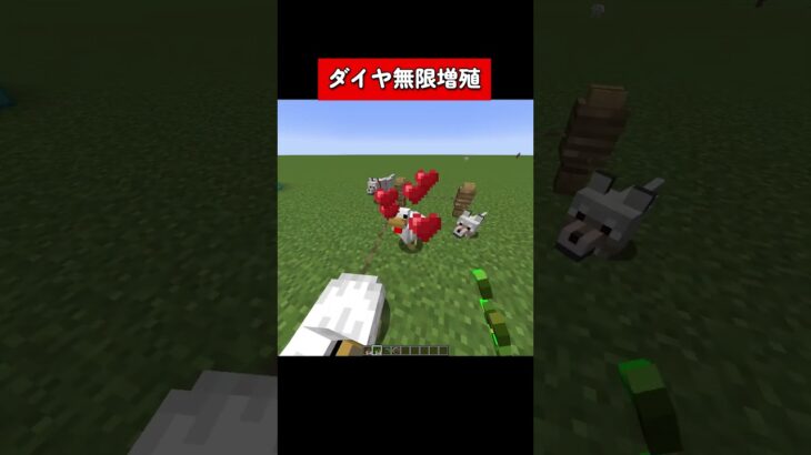 【マイクラ】ダイヤモンドを無限に増殖する方法がヤバすぎるｗｗｗ #minecraft