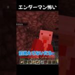 エンダーマン怖い【#マイクラ 】#minecraft
