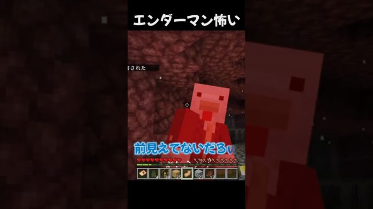 エンダーマン怖い【#マイクラ 】#minecraft
