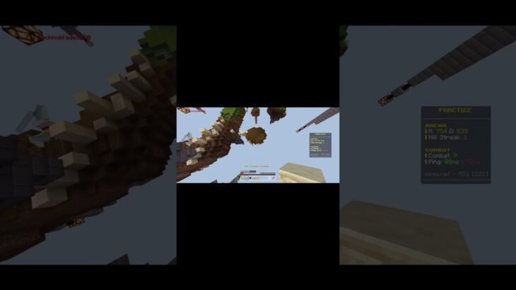 チーター？ #マイクラ #minecraft