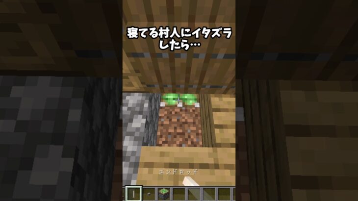 寝てる村人にイタズラしてみた　#マイクラ #minecraft