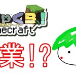 【#minecraft】わちゃくら！エンチャントとか【#初見さん歓迎】