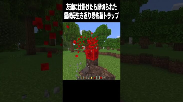 墓トラップ #マイクラ#minecraft #高校生 #810 #shorts