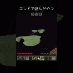 エンドで詰んだやつ　#マイクラ #マインクラフト #minecraft
