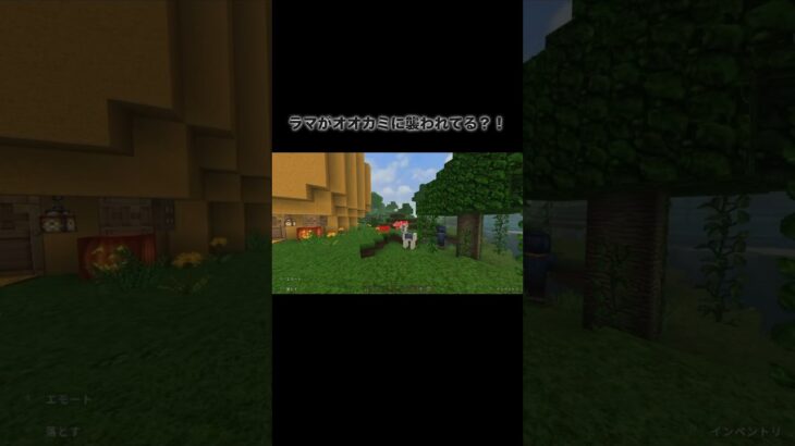 負けられない戦いがある #マイクラ #マインクラフト #minecraft #マイクラ好きな人と繋がりたい #architecture #マイクラ建築 #game #battle #shorts