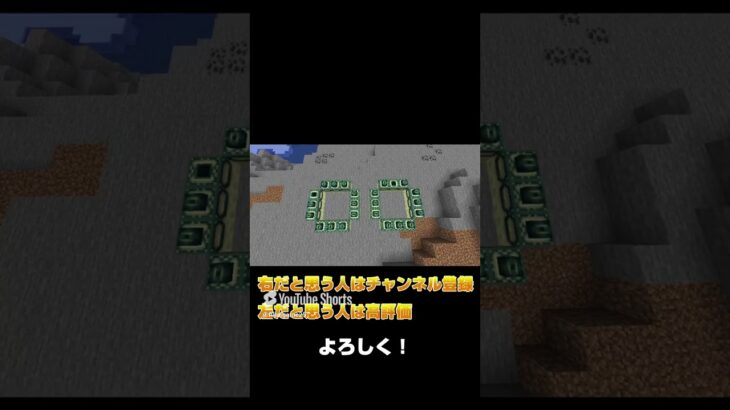 どっちが本当のエンドゲート？#minecraft #minecraftshorts #マイクラ