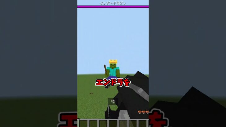 [minecraft]エンドラに乗って操る方法！！！#マイクラ #マインクラフト #マインクラフト統合版 #minecraftshorts #minecraft