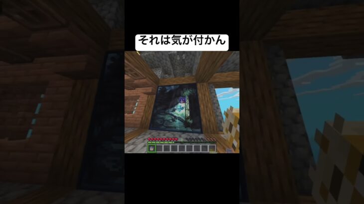 気づかなかったんですよ #マイクラ #マインクラフト #minecraft #ps5