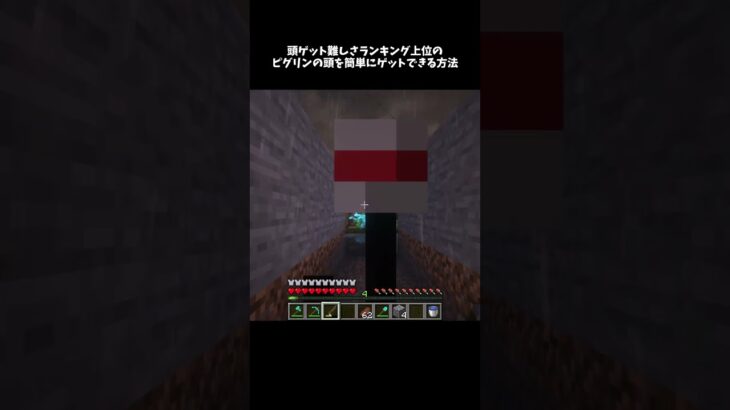 これで頭コンプリート🥴#マイクラ #minecraft #shorts #ショート