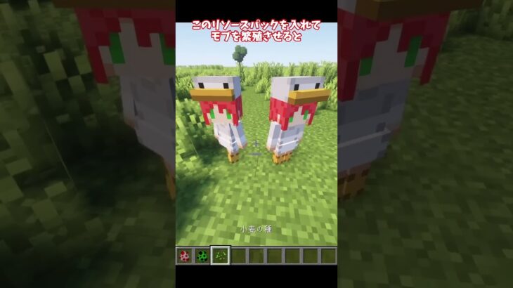 【マインクラフト】美少女リソースパック紹介！ #マイクラ #マインクラフト #minecraft #shorts #リソースパック