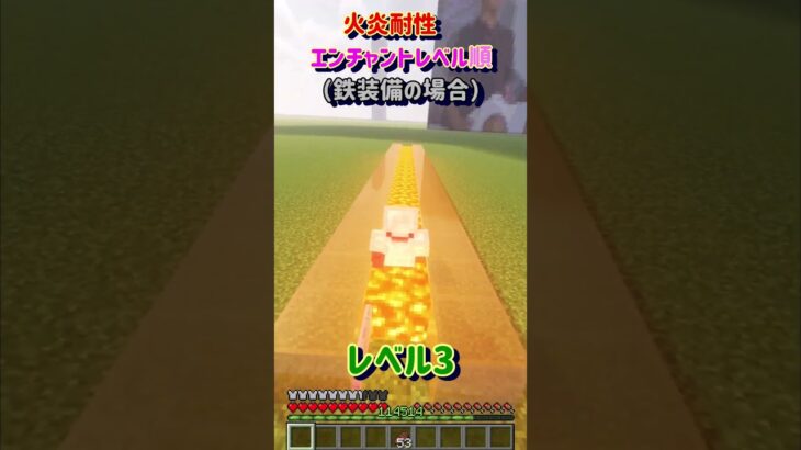 【火炎耐性エンチャントレベル順　比べてみた】 #minecraft #マイクラ #マインクラフト #shorts