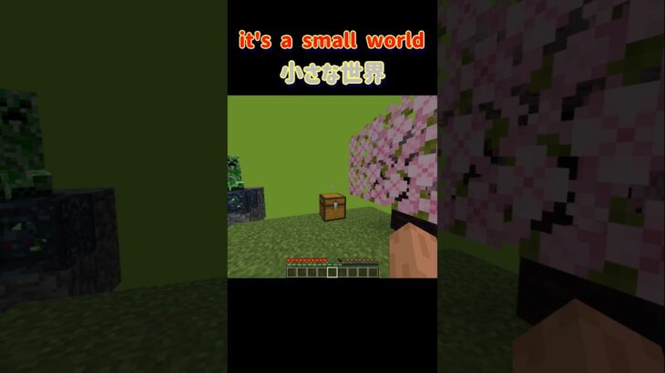 【小さな世界】 #minecraft #マインクラフト #マイクラ #shorts