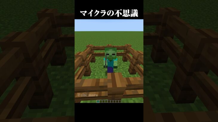マイクラって不思議だな〜 #マイクラ #minecraft #shorts