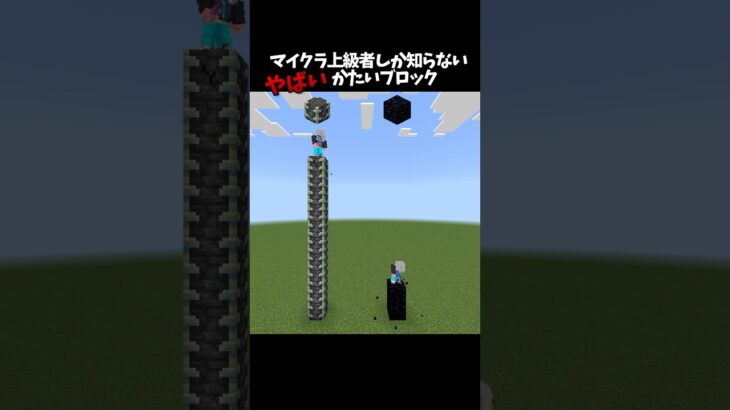 【マイクラ】上級者しか知らない知識 #マイクラ #minecraft #shorts