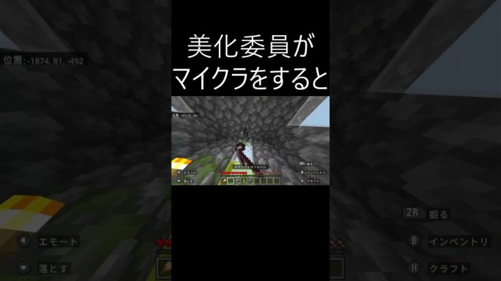 美化委員がマイクラをすると #マイクラ #マインクラフト #minecraft #shorts