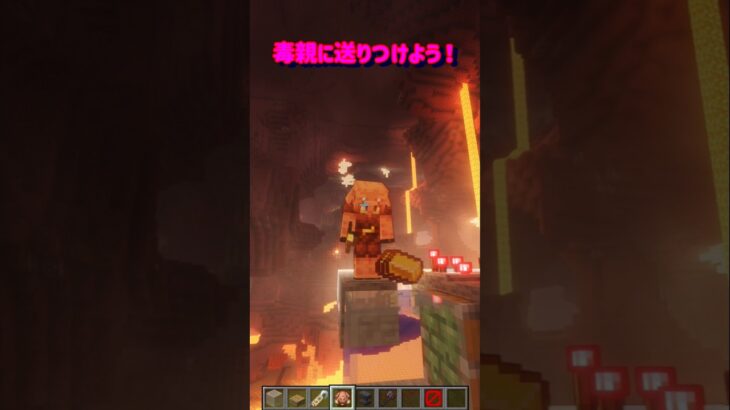 【毒親に送りつけよう!】 #minecraft #マインクラフト #マイクラ #shorts