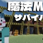【マイクラ】魔法と車があるmodサバイバル