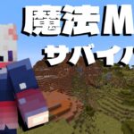 【マイクラ】魔法mod入れてサバイバル