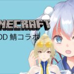 マインクラフトmod自鯖こらぼ
