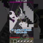 マイクラの長年の謎 part1