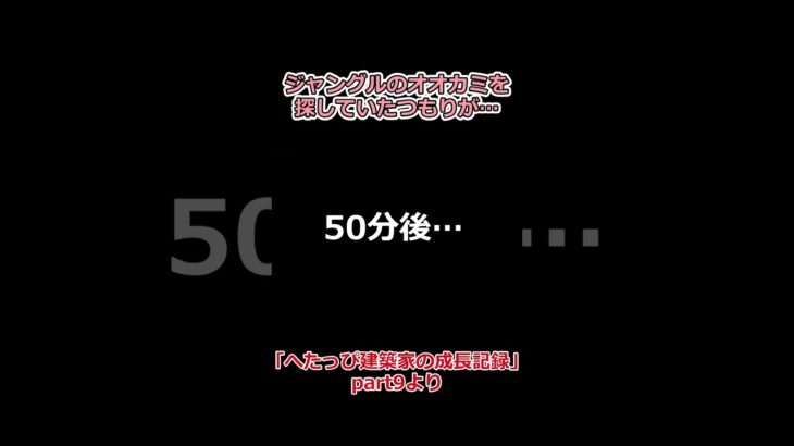 ジャングルのオオカミを探していたつもりが… 【へたっぴ建築家の成長記録　part9】より
