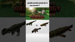 quelle mod je mes  #minecraft #mod #survival