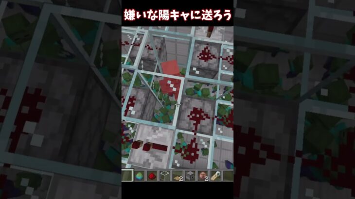 【マイクラ】嫌いな陽キャに送ろう #マイクラ #share