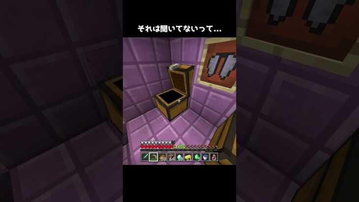もう一生エンドシップの装備使わない　#shorts #マインクラフト #マイクラ