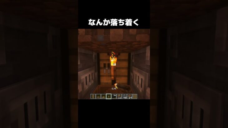 最小の家 #shorts #マインクラフト #マイクラ