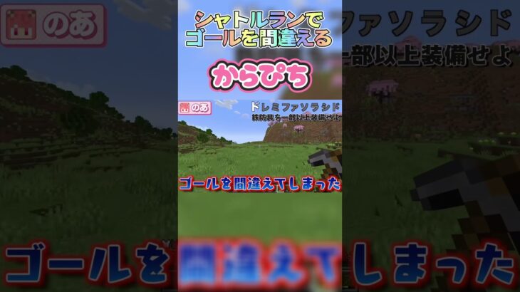こういうところ好きよ #shorts #からぴち #カラフルピーチ #マイクラ