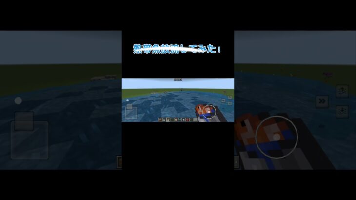 熱帯魚放流してみた！　#shorts #マイクラ　#マイクラ