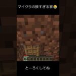狭すぎる家😂 #shorts #マイクラ