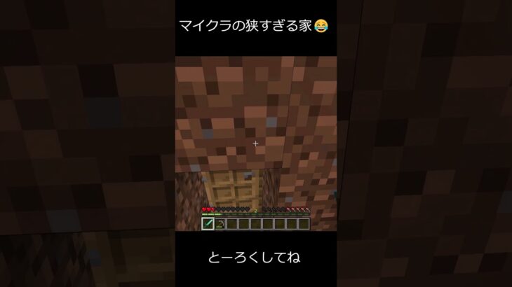 狭すぎる家😂 #shorts #マイクラ