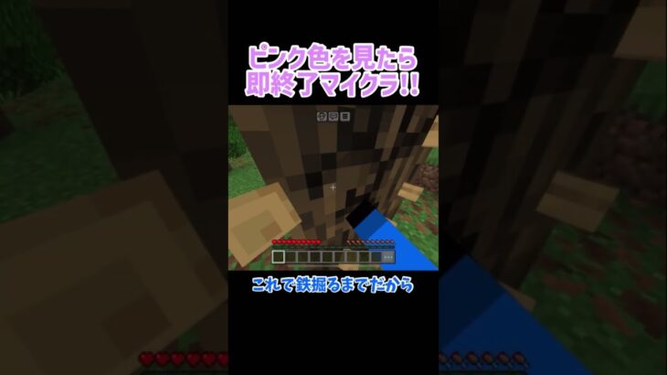 ピンク色を見たら即終了マイクラ!!#shorts  #マイクラ