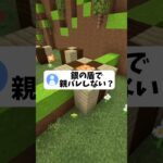 銀の盾で親バレしないの？#shorts #マイクラ
